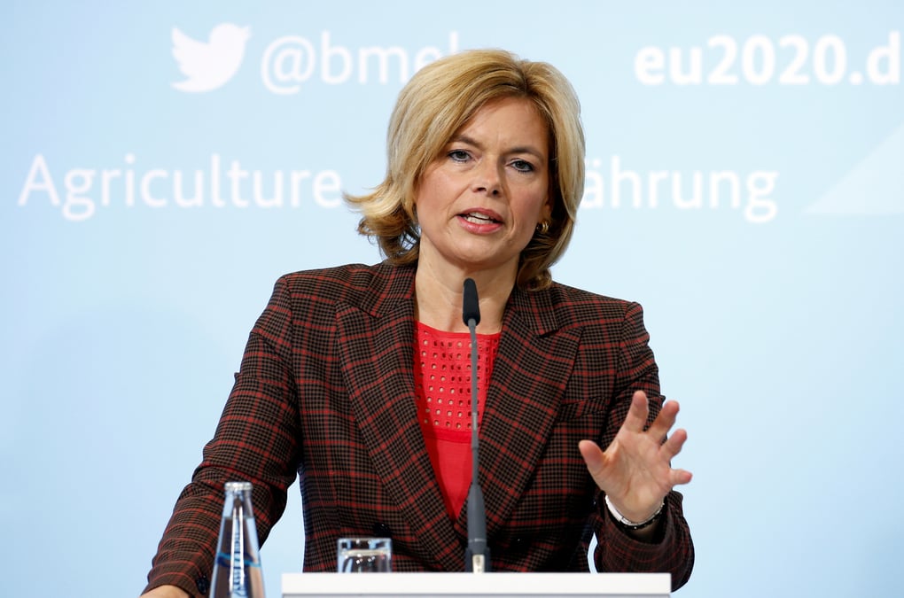 L'allemagne confirme un premier cas de peste porcine