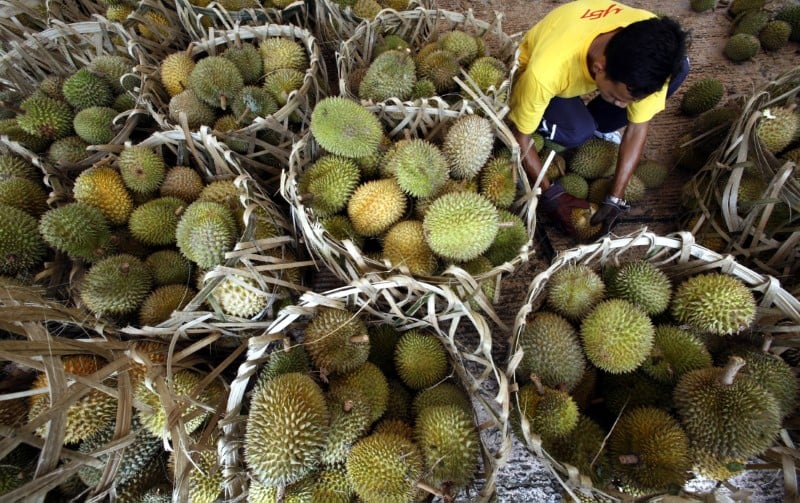 Le commerce des fruits tropicaux vers un nouveau record en 2017