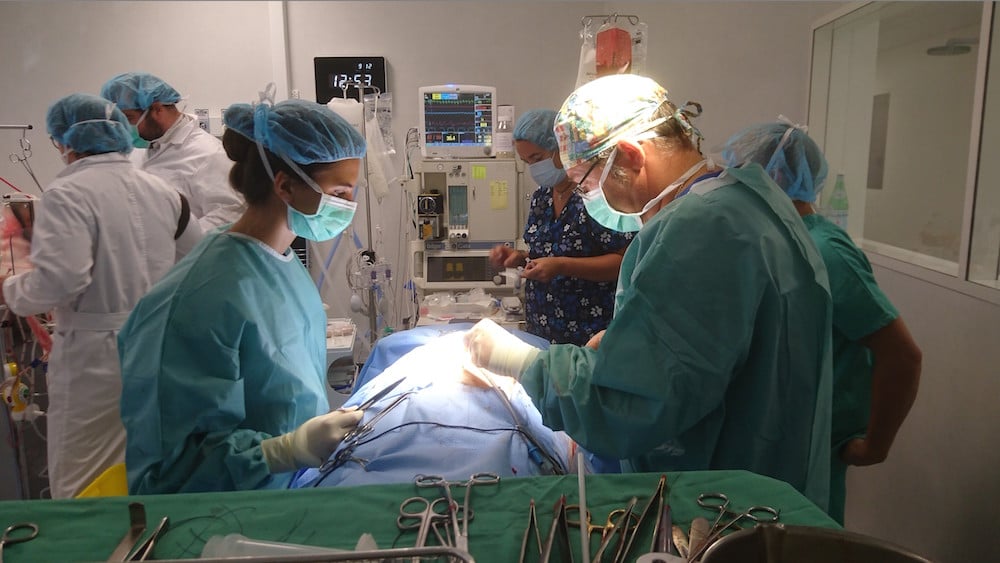 Contrairement aux dispositifs de centrifugation, le procédé mis au point par I-Sep est capable, lors d'une opération chirurgicale, de traiter et de réinjecter au patient ses globules rouges, mais aussi ses plaquettes.