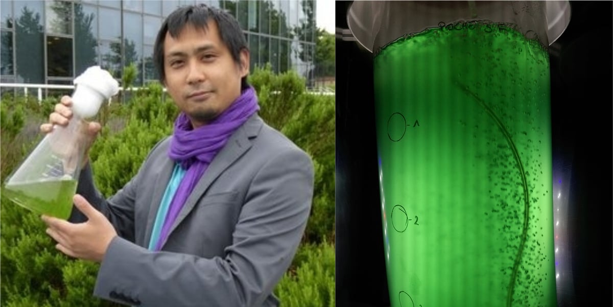 La biotech toulousaine Kyanos s'intéresse aux microalgues qui peuvent être utilisées pour des compléments alimentaires mais aussi pour capturer le CO2.
