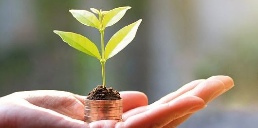 Selon cette classification, il y a trois catégories d'investissement favorisant la transition climatique.