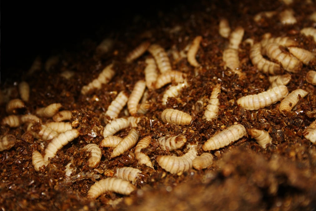 Agronutris
