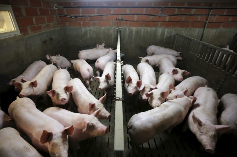 Manuel valls recoit les dirigeants de la distribution face a la crise agricole