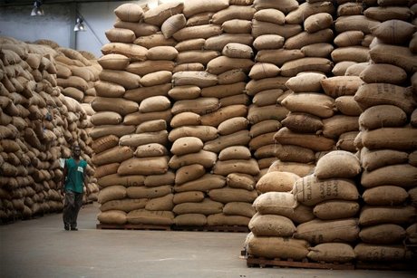 noix de cajou Côte d'Ivoire stockage