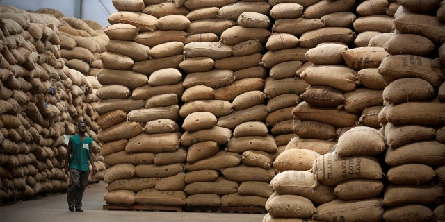 noix de cajou Côte d'Ivoire stockage