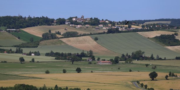 agriculture