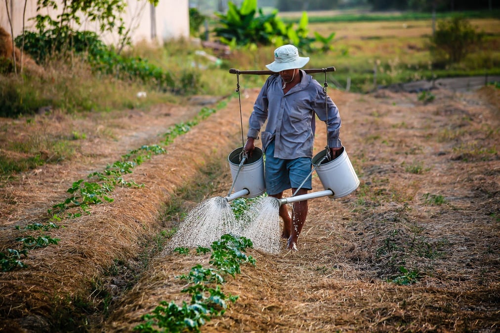 Eau agriculture