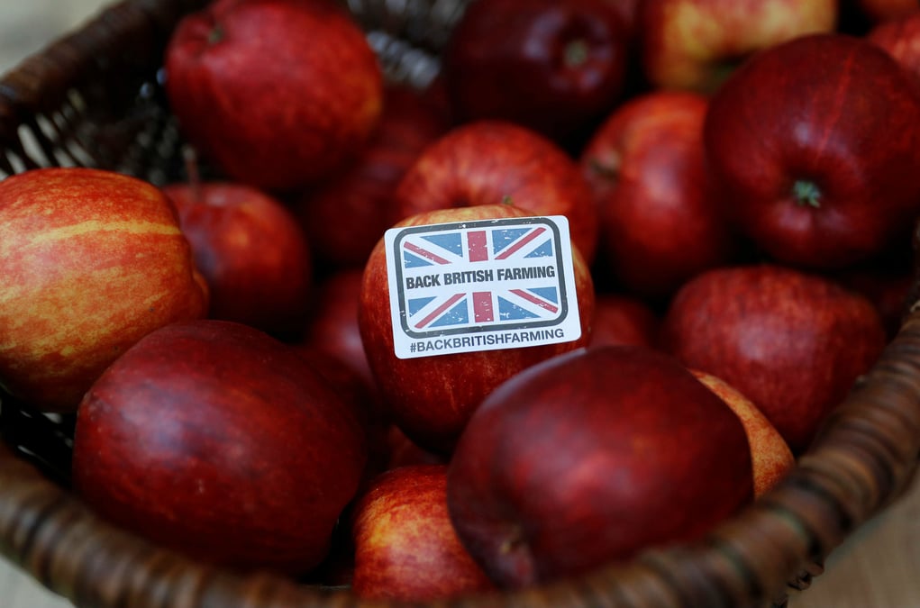 Pommes britanniques