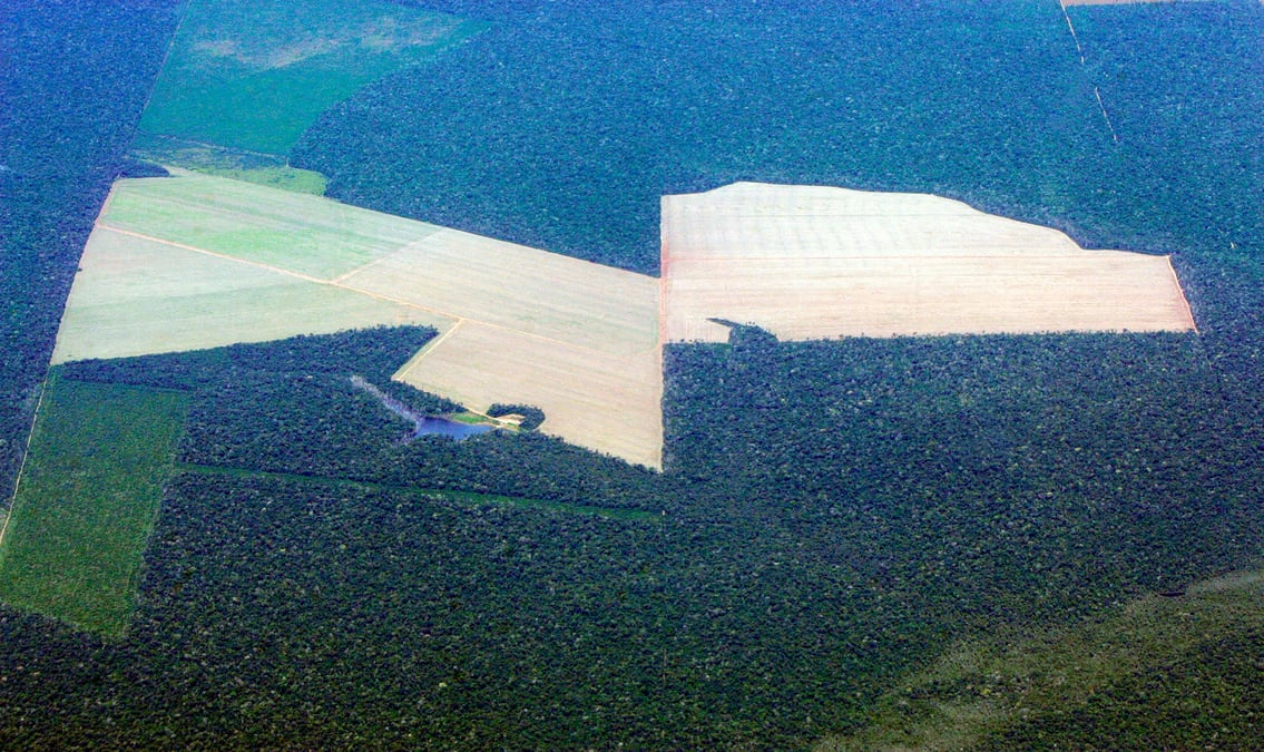 Le règlement demande aux entreprises concernées de garantir que les produits qu'elles exportent ou mettent sur le marché n'entraînent aucun risque de déforestation. Elles devront donc en prouver la traçabilité via des données de géolocalisation fournies par les agriculteurs, associées à des photos satellitaires.