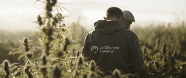 Le Chanvre Cévenol