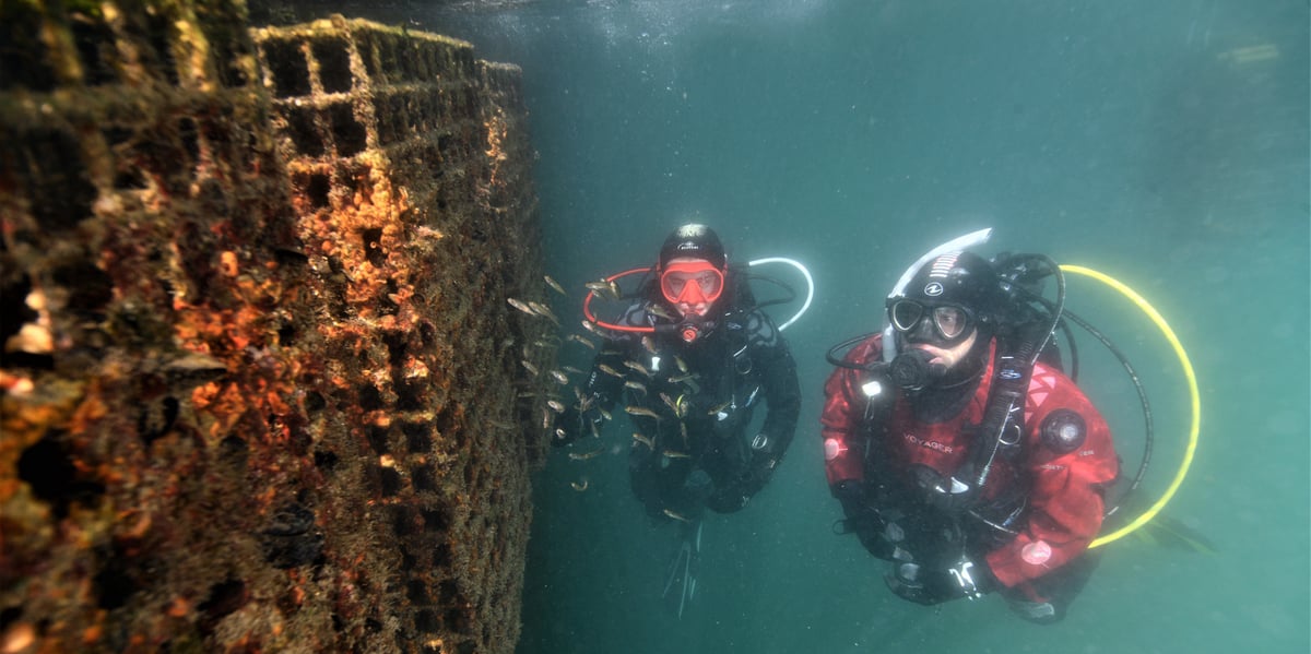 La PME Ecocean propose des solutions pour restaurer les zones aquatiques et rebooster la biodiversité.