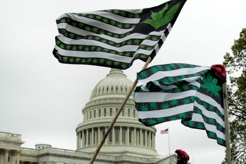 L'etat de washington autorise la marijuana bio