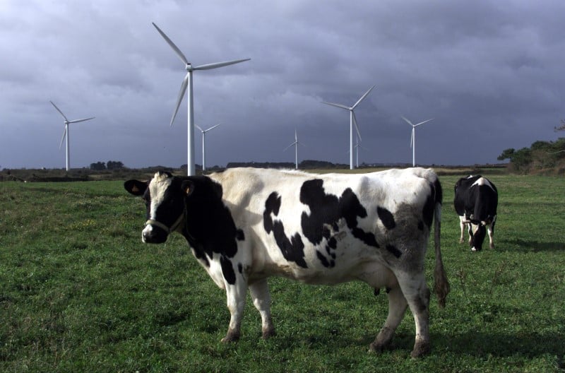 Rappel de 2.000 boites de lait infantile premilait