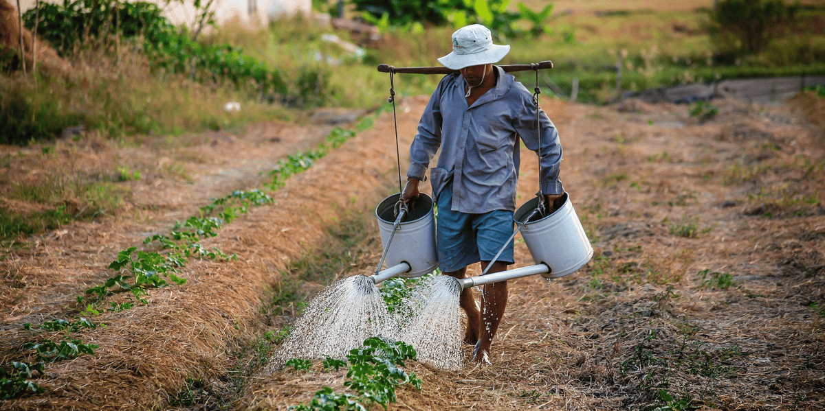 Eau agriculture