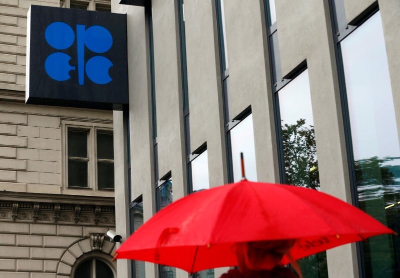 La russie songe a une instance conjointe de cooperation avec l'opep