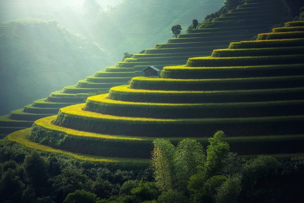 Environnement