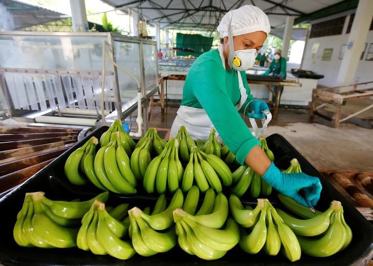 Lancement d'une grande etude sur le chlordecone dans les antilles