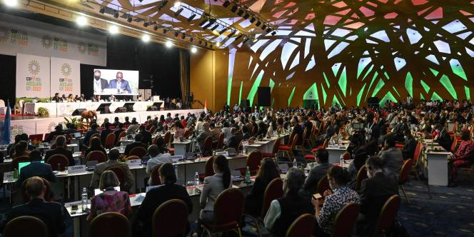 cop15
