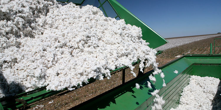 coton industrie