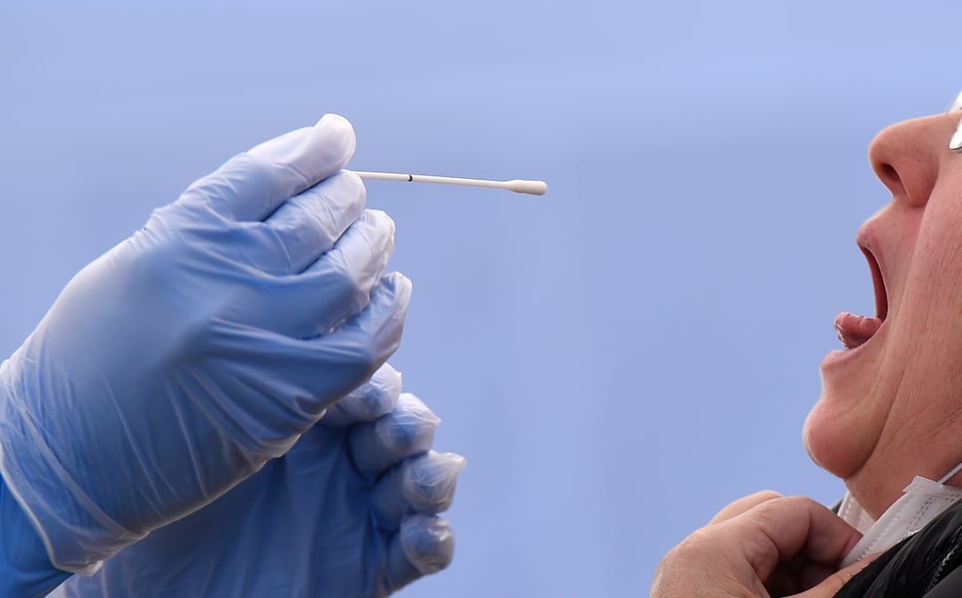 Tests positifs au coronavirus de 400 ouvriers dans un abattoir allemand
