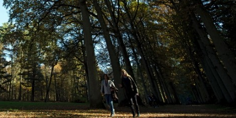 Un tiers des parcs naturels menaces par l'activite humaine