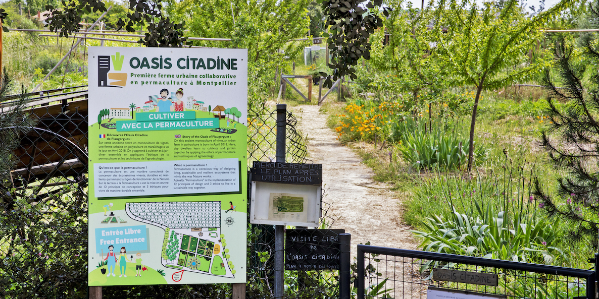 Les fermes urbaines intègrent de plus en plus les projets de rénovation urbaine des quartiers prioritaires de la ville (photo : la première ferme urbaine collaborative en permaculture à Montpellier).