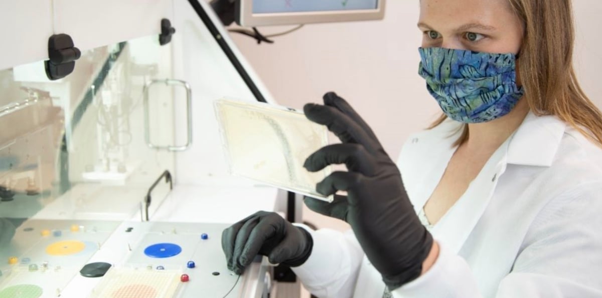 Lesaffre et Recombia Biosciences signent un partenariat stratégique visant à faire progresser une technologie innovante d’édition génétique