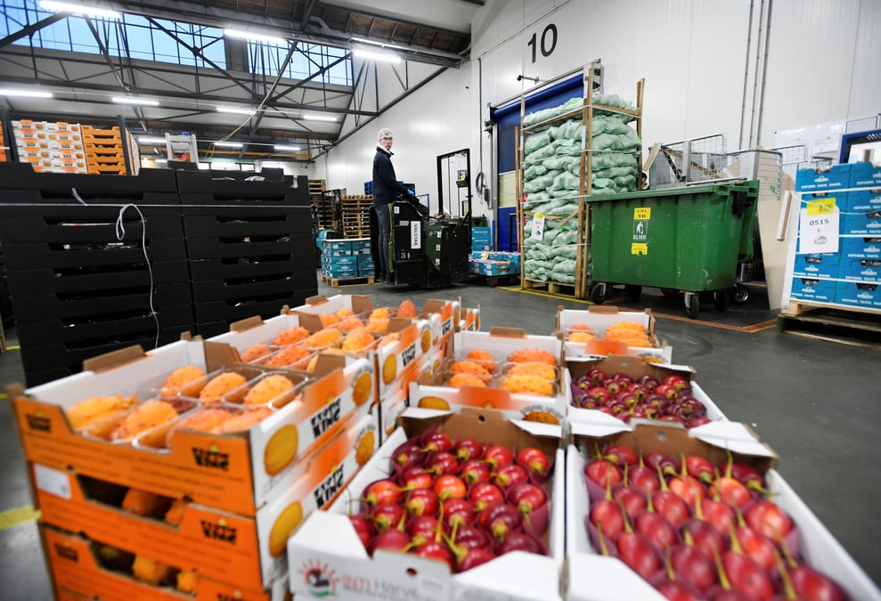 Brexit: les exportateurs neerlandais inquiets pour leurs produits frais en cas de "no-deal"