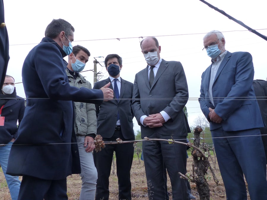 Gel sur les vignobles : Castex et Denormandie en visite dans l'Hérault le 17 avril 2021