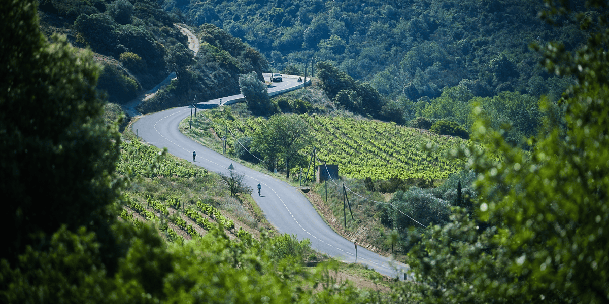 Dans les Pyrénées-Orientales, la cave coopérative du Cellier de Trémoine, à Rasiguère, a créé une société coopérative d'intérêt collectif (SCIC) pour préserver les surfaces productives de son périmètre.