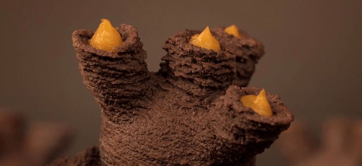 Corail, 3D, La Pâtisserie Numérique