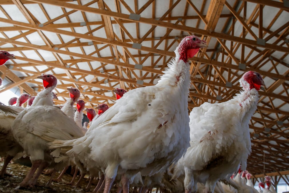 Usa: thanksgiving risque d'aggraver une situation sanitaire deja alarmante