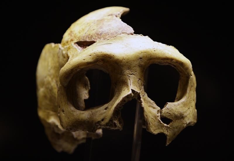 L'homme de Kostenki précise le métissage Sapiens-Néandertal