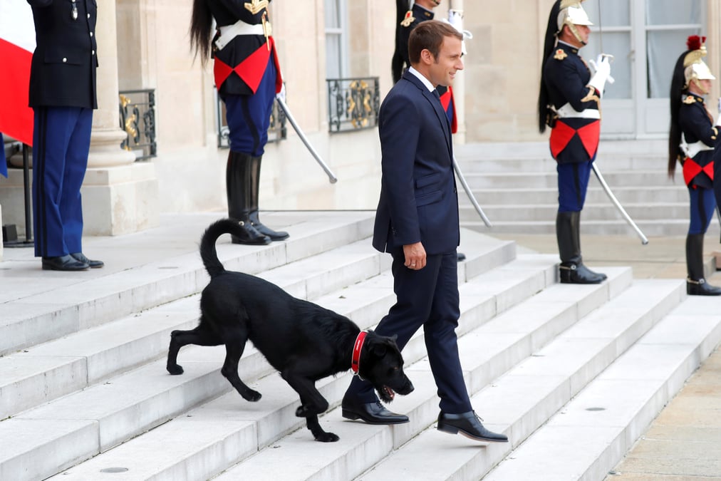 La popularite de macron chute de 11 points dans un sondage bva