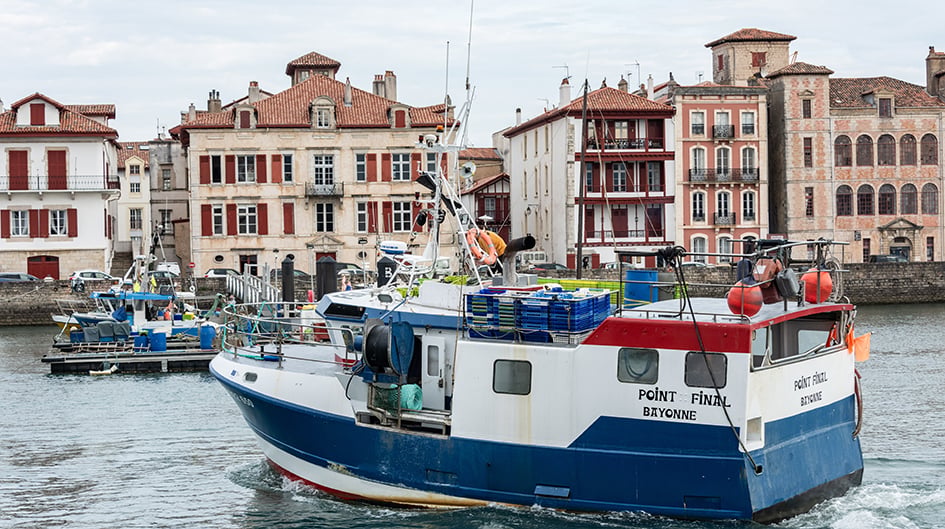 L'interdiction risquerait de pousser les pêcheurs à cacher le nombre réel de dauphins qu'ils rencontrent, selon l'un d'eux.