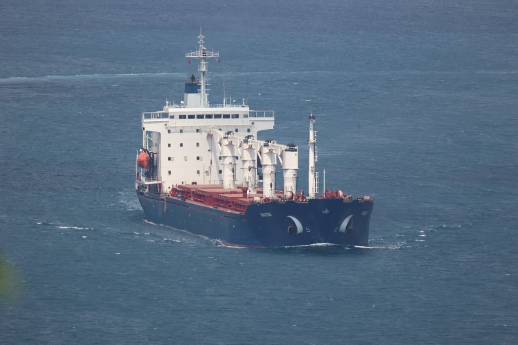 Le cargo de cereales ukrainiennes autorise a franchir le bosphore