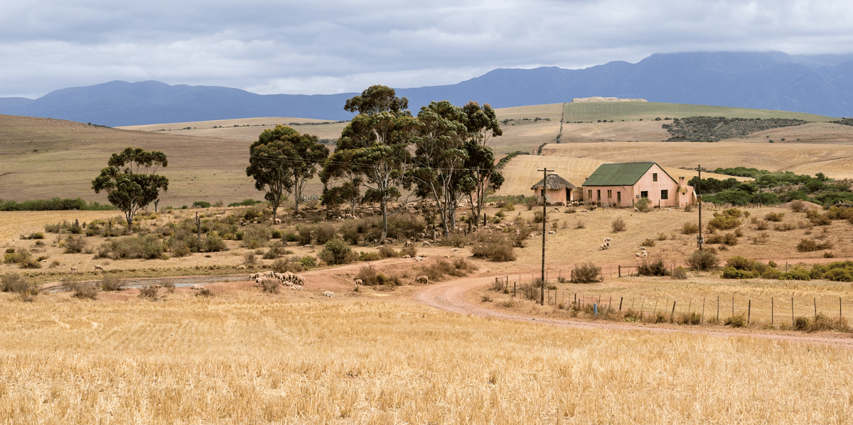 agriculture ferme