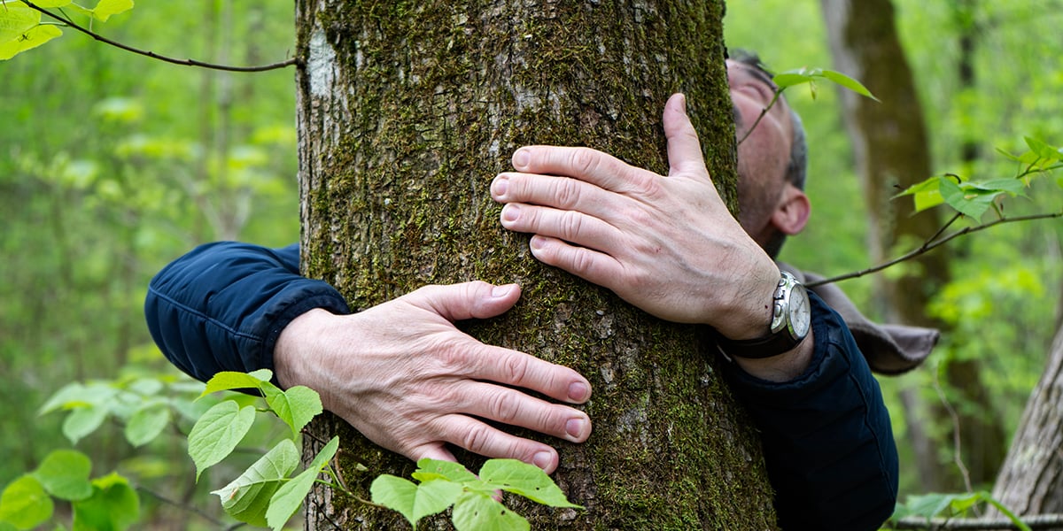 Bain de forêt au bois de Saint-Mard, près de Compiègne (Oise).