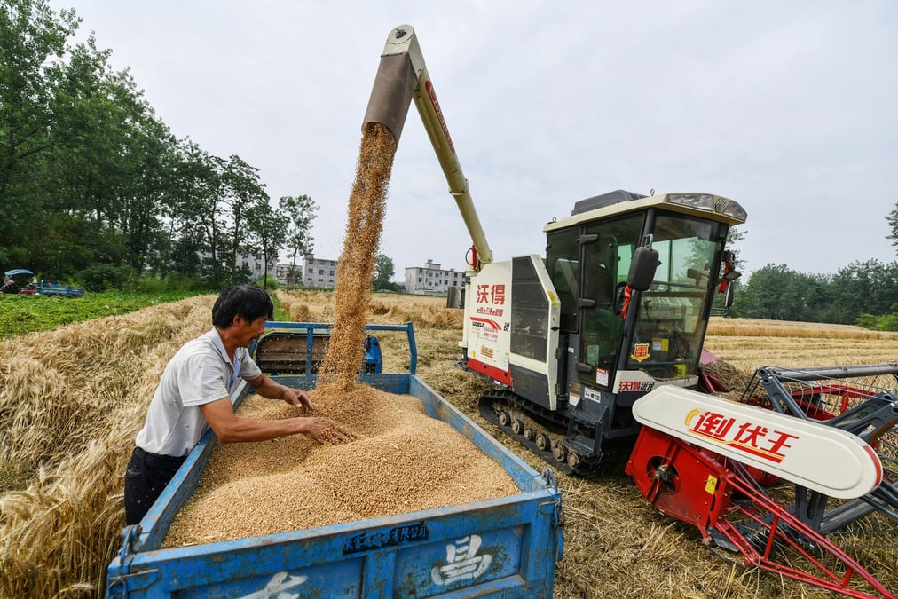 Chine, récolte, moisson, blé, agriculture, fermier,