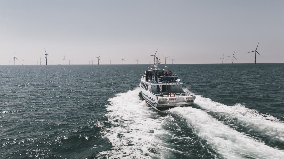 A partir du 16 avril, la compagnie Navigation Normande va proposer des excursions entre les 72 éoliennes du parc de Fécamp.