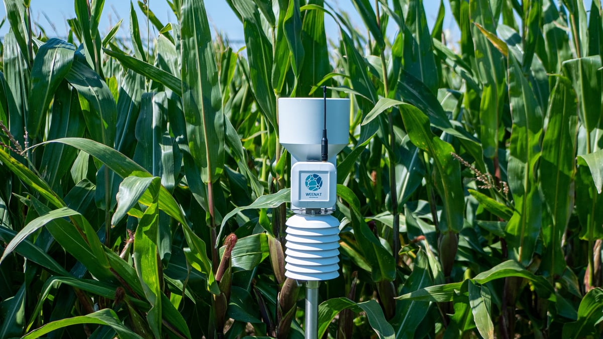 Weather Measures permet de fournir aux agriculteurs des données météorologiques et agronomiques ultra-locales et fiables, grâce à des capteurs, mais aussi des données météorologiques et satellites.