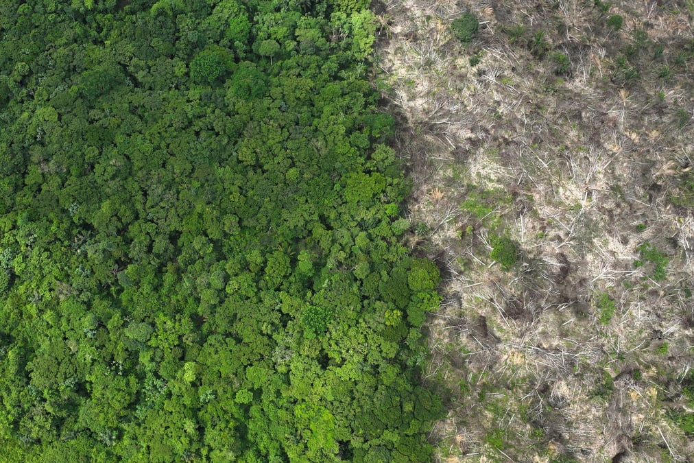 En 2023, 454.300 hectares ont été déboisés en Amazonie, soit 62,2% de moins qu'en 2022.