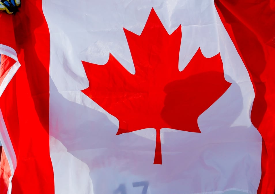 L'arrêt du trafic sur un réseau qui s'étend de l'Atlantique aux côtes du Pacifique et au sud jusqu'aux États-Unis, paralyse le transport des céréales, de la potasse, des voitures, des produits pétroliers et du bois.
