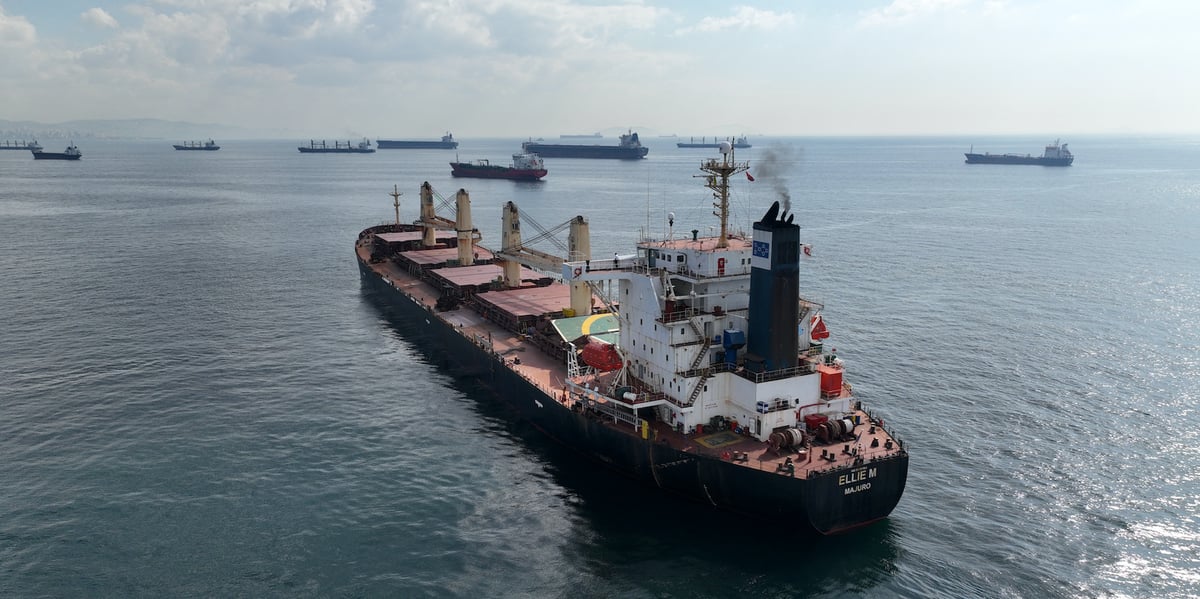 La flotte maritime mondiale compte 100.000 navires, qui ont pour objectif la neutralité carbone en 2050.