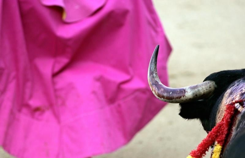 Madrid: un torero espagnol encorne a la gorge