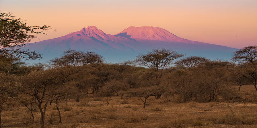 ALTDE_Biocarburant, le Kenya mise sur la noix de croton savane tourisme