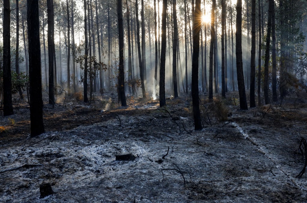 France: la pluie apporte un leger repit sur le front des incendies