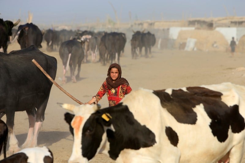 Les menaces climatiques touchent aussi l'irak, en penurie d'eau