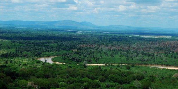 barrage tanzanie