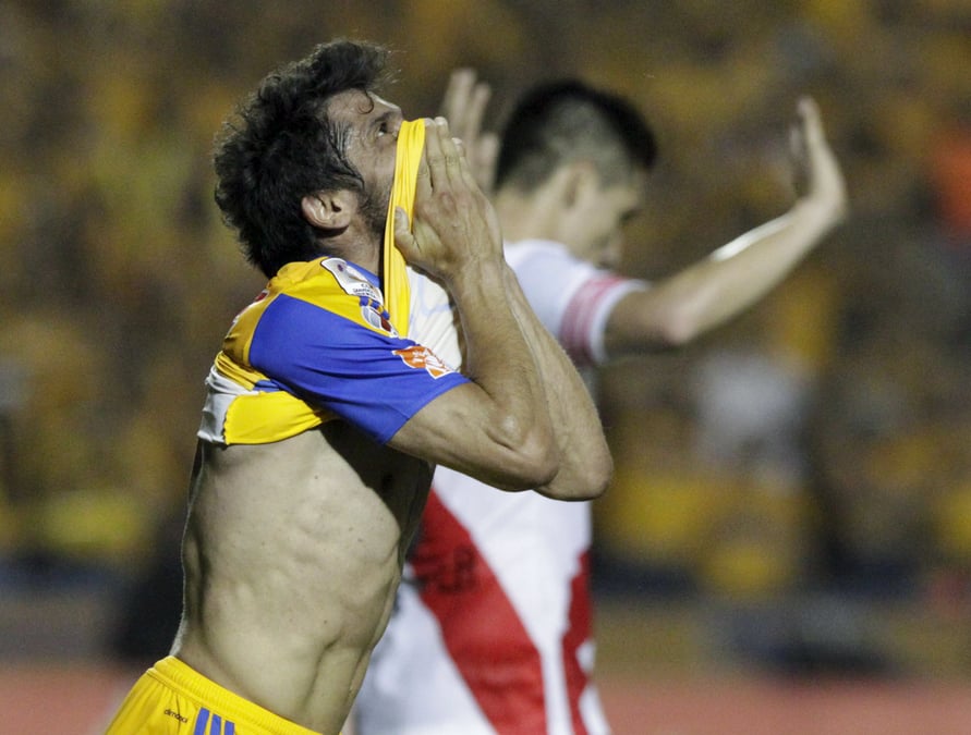 Les tigres n'ont pas mordu